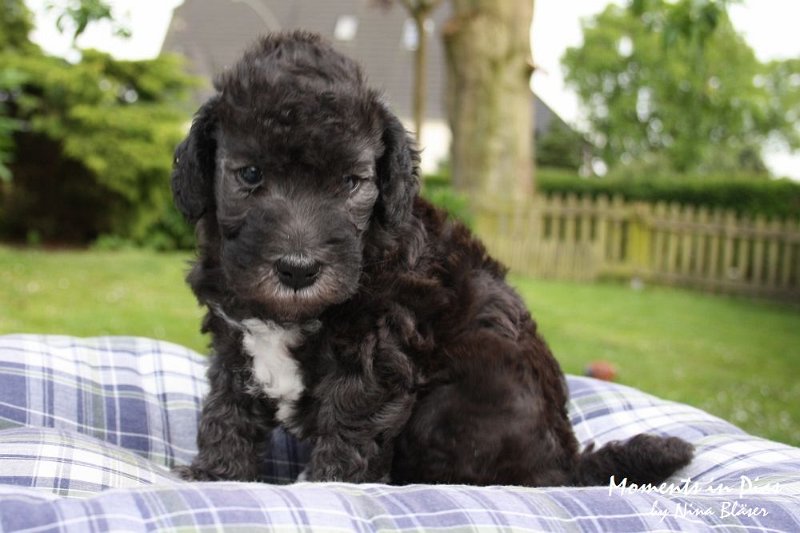 Arc-en-ciel Antares 2009-06-17 (37).JPG